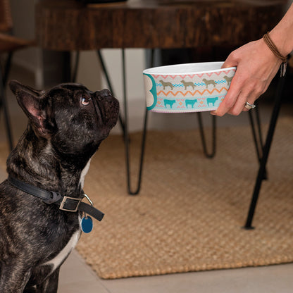 All Creatures Great and Small Dog Pattern Pet Bowl